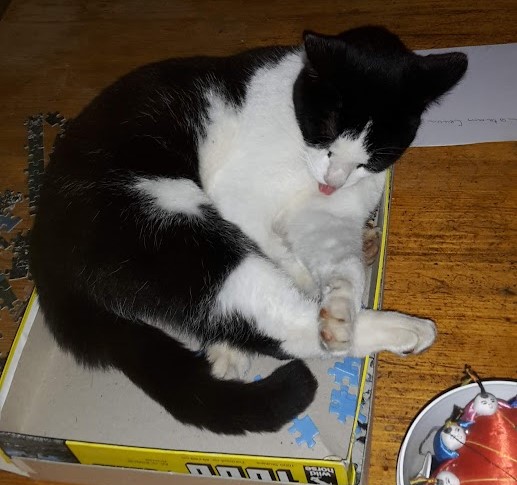 puzzel